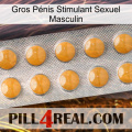Gros Pénis Stimulant Sexuel Masculin levitra1